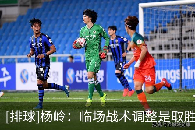 [排球]杨岭：临场战术调整是取胜的第一要素